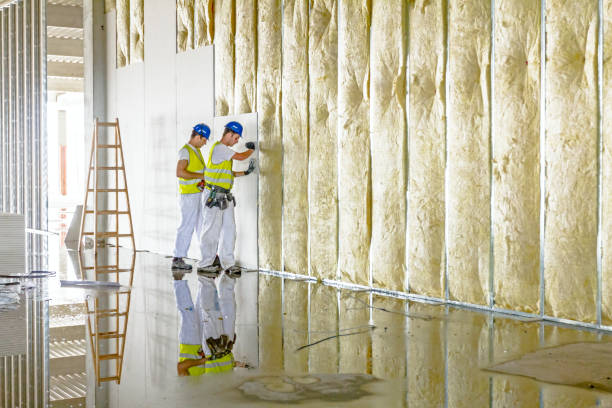 Best Insulation Contractors for Homes  in Byron Center, MI